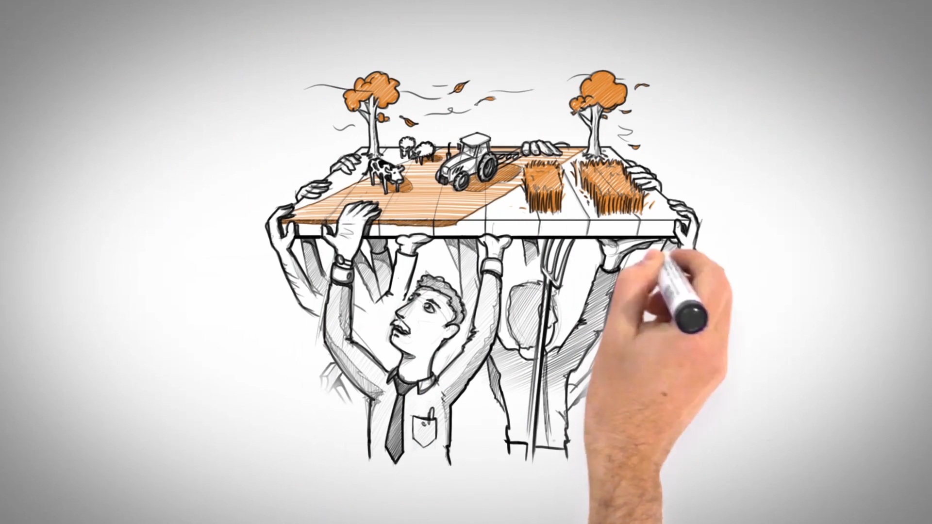 Motion Graphics Portfolio